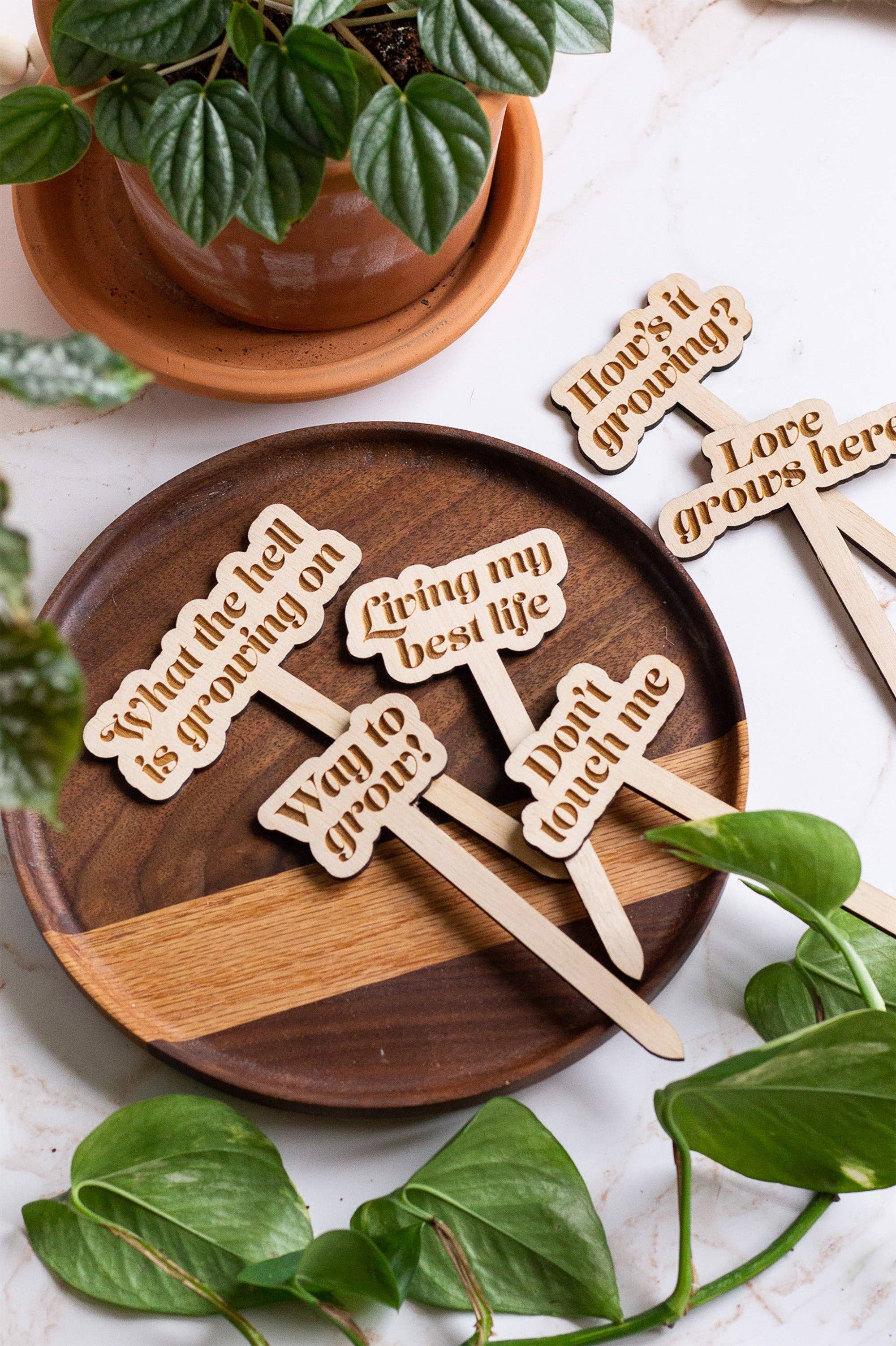 house plant labels Wooden Plant Markers // I be-leaf in you – Jenny in the City