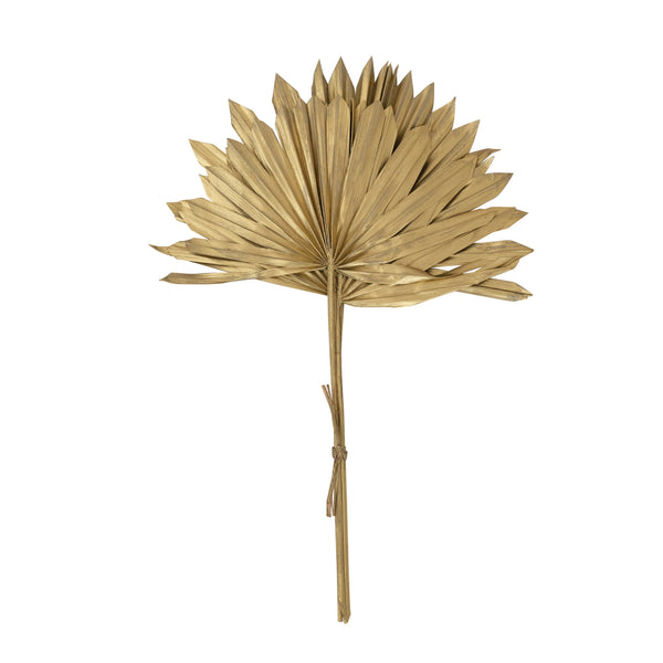 Dried Natural Sun Palm Branch Set // Gold